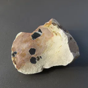 Black Opal in Slit Stone