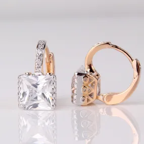 Brand Jewelry Earrings for Womens! New Shiny Rhinestone Gem Hoop Earing Ladies Wedding Jewellery Earing Brinco