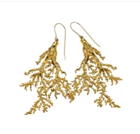 Earrings- Coral