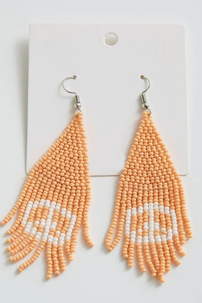 Novelty earrings
